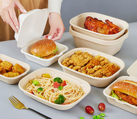 Boîte à bento jetable en papier 30 oz avec couvercles en PET/PP/pulpe, récipient pour repas légers, boîte à lunch en pulpe, biodégradable, nouveau produit