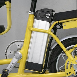 <span class=keywords><strong>Mini</strong></span> vélo électrique pliable 1000w E Bike Low <span class=keywords><strong>Rider</strong></span> Vélo électrique tout-terrain Vente bon marché Distributeur Vélo électrique parent-enfant - Product Image 5