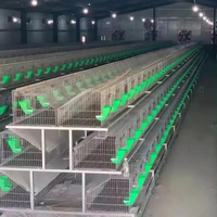 Cage d'élevage de lapins en grillage galvanisé de bonne qualité 3 niveaux 36 bits Cages commerciales pour lapins