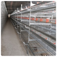 Poulailler entièrement automatique pour poules pondeuses, ferme avicole d'Afrique du Sud, poulailler galvanisé