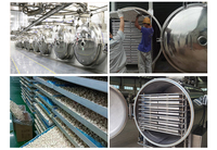 Gefreeze-droogde groenten paddenstoelen lente-uien gember knoflook fruit schijfjes 500kg 2000kg groente fruit vriesdroogmachine apparatuur