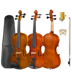 R35 gidoo âm nhạc <span class=keywords><strong>Violin</strong></span> trường hợp 4/4 dây cụ <span class=keywords><strong>Violin</strong></span> để bán - Product Image 1
