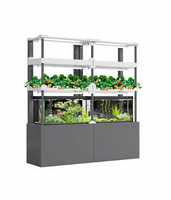 Système de plantation hydroponique aquaponique à usage domestique équipement d'irrigation vertical gratuit contrôlé pour noyau de ferme, pompe incluse