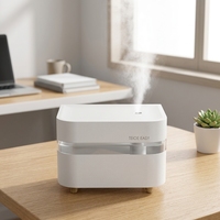 Diffuseur ultrasonique portable en plastique, best-seller d'usine, 450 ml, mini humidificateur rechargeable par USB avec batterie