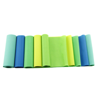 Bandas de Resistencia TPE para Entrenamiento de Fuerza, Fisioterapia y Yoga Pilates, Tipo Tira