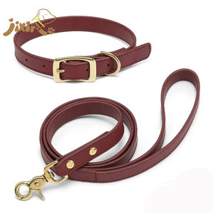 <span class=keywords><strong>Collar</strong></span> de cuero vegano de colores personalizados para perro - Product Image 1