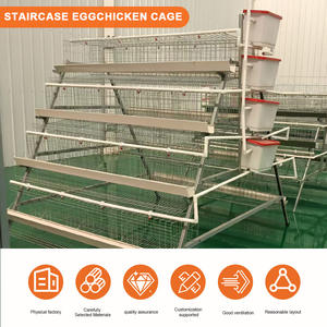 กรงเลี้ยงไก่แบบ A-Type สำหรับใช้ในฟาร์มกรงเลี้ยงไก่อุปกรณ์ชั้น - Product Image 4