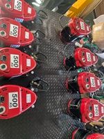 220V 500Kg 1Ton matériel ascenseur rapide Polipasto gratuit palan grue treuil machines de levage