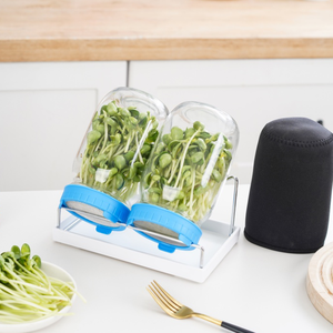 Set <span class=keywords><strong>di</strong></span> 2 vasetti <span class=keywords><strong>di</strong></span> <span class=keywords><strong>vetro</strong></span> a bocca larga da litro in plastica con Design speciale Set <span class=keywords><strong>di</strong></span> Sprouter per Broccoli <span class=keywords><strong>di</strong></span> fagioli Mung cibo cucina usa omaggi - Product Image 5