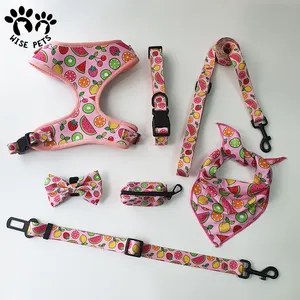 Collari di piombo per cuccioli di lusso personalizzati borsa per cacca di animali domestici regolabile Bandana set di guinzaglio per collare in Neoprene traspirante reversibile