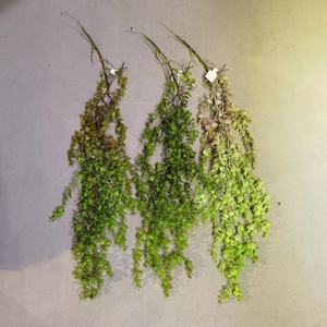 <span class=keywords><strong>Plante</strong></span> artificielle en plastique Liana, lianes de palmier décoratives, mur végétal artificiel, <span class=keywords><strong>plante</strong></span> grimpante <span class=keywords><strong>verte</strong></span>, 100 cm, Fête des Mères, Noël, Halloween - Product Image 5