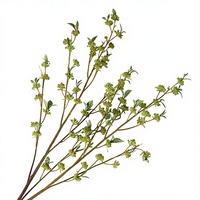 Plante artificielle en forme de gousse de haricot pour la décoration intérieure, salon, photographie, arrangements floraux de mariage