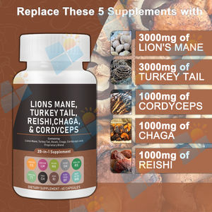 Заводская поставка 20 в 1, мощный микс, экстракт грибов, капсула, смесь льва, грива, кордицепс, Рейши, Чага, индейка - Product Image 2