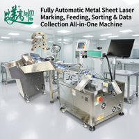 Machine tout-en-un entièrement automatique pour l'alimentation, le codage et le tri des tôles métalliques avec marquage laser et système de collecte de données