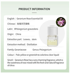 Hot <span class=keywords><strong>Geranium</strong></span> Rose Ätherisches Öl reines Natur öl <span class=keywords><strong>Geranium</strong></span> Parfüm öl Diffusor Massage Körperpflege Rohstoffe Versorgung - Product Image 4