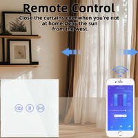 Interruptor Inteligente para Cortinas con Panel Táctil de Vidrio Templado, Control por Voz, WiFi, Estándar Europeo, Automatización del Hogar