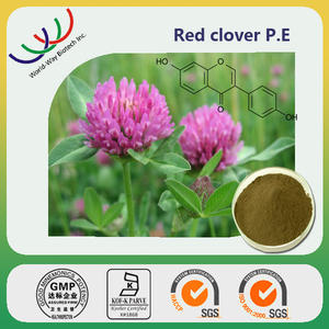 최고 등급 40% Isoflavones 허브 레드 클로버 재고 레드 클로버 추출물 잎 꽃 보충 식품 건강 - Product Image 5