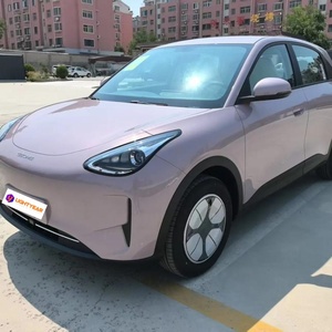 Nuova tendenza <span class=keywords><strong>GOME</strong></span> Star Wish Dream versione elettrica Hatchback 310km gamma 4 posti con guida a sinistra veicoli di nuova energia - Product Image 3