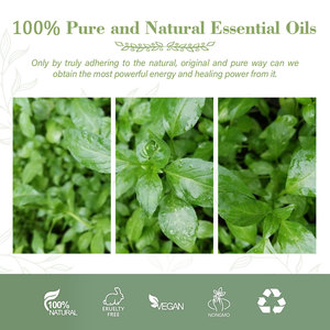 Huile essentielle d'herbe à chat 100% naturelle et pure d'extraction végétale pour apaiser - Product Image 3