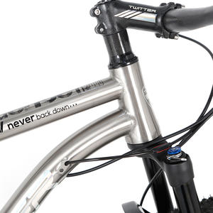 Vélo <span class=keywords><strong>de</strong></span> montagne en alliage <span class=keywords><strong>de</strong></span> titane en promotion, <span class=keywords><strong>29</strong></span> <span class=keywords><strong>pouces</strong></span>, axe traversant 142 mm, <span class=keywords><strong>VTT</strong></span> en titane avec transmission GX-12 vitesses pour hommes - Product Image 4