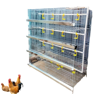 Jaula Automática para Cría de Pollitos con Cinta de Eliminación de Estiércol, Equipo Avícola Galvanizado - Product Image 6