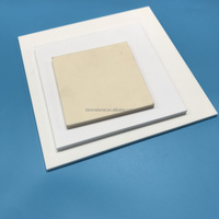 Plaque mince en céramique d'oxyde d'aluminium Al2O3 99% 96% substrat en alumine poreuse pour four