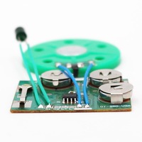 Modul Sensor Cahaya dan Suara untuk Kartu Ucapan, Dikendalikan oleh Pemasok Cahaya, Barang Keselamatan Berkualitas