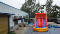 Toboggan gonflable Tropical commercial à double voie Toboggan gonflable à double voie avec piscine bleue pour la fête dans l'arrière-cour
