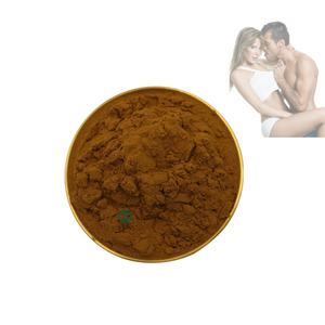 Ekstrak alami akar Morinda <span class=keywords><strong>Officinalis</strong></span>, ekstrak Morinda alami - Product Image 2