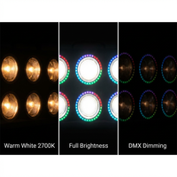 Projecteur LED rétro 6x100W, étanche IP65, blanc chaud ambre, pour scène, concert, théâtre, événement