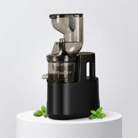 Extracteur de jus professionnel à mastication robuste pour la séparation de la pulpe, la fabrication de crème glacée et de lait de soja