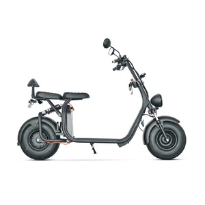 Moto Elettrica Sportiva ad Alta Velocità <span class=keywords><strong>E</strong></span>-fun, Prodotta in Cina, 1500W, Batteria al Litio Brushless 60V, 45km/h - Product Image 1