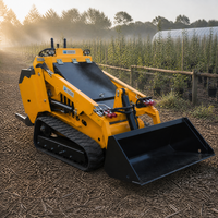 Diesel-Mini-Kompaktlader für Landwirtschaft, Ranch, Hofarbeit, Materialhandhabung, Kompaktlader-Vermietung, Flottenunterstützung