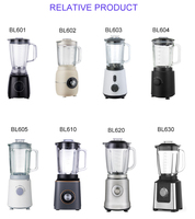 Krachtige elektrische blender/sapcentrifuge van roestvrij staal uit een Chinese fabriek voor thuisgebruik