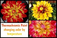 Poudre de pigment thermochromique réversible sensible aux hautes et basses températures, qualité alimentaire, poudre à changement de couleur activée par le froid