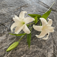 Nouvelles fleurs de lys artificielles en PU à 3 têtes, 71 cm, roses et blanches, pour la décoration de la maison et des mariages