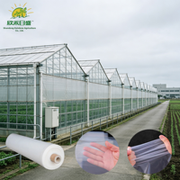 Film de couverture de serre transparent anti-goutte, feuille plastique haute clarté pour l'agriculture en serre de légumes