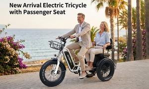 Tricycle passager à moteur arrière 48V haute performance 750W, deux places avec panier, vélo <span class=keywords><strong>cargo</strong></span> électrique à trois roues à queue longue - Product Image 5