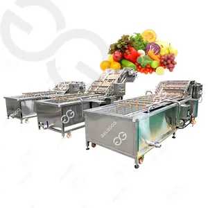 GELGOOG Fruit And Veggie Washing Cleaning Machine Fresh Wild Vegetable Washing Machines Fruits Avocats