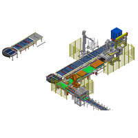 Palettiseur robotisé automatique Lilan personnalisé, machine de palettisation automatique pour cartons, canettes, bouteilles, barils, sacs, palettiseur robotisé