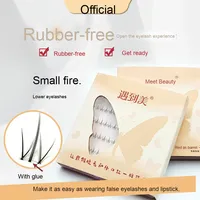 Cils en éventail sans colle, aspect naturel, cils inférieurs de type mère, petites flammes, grappes individuelles segmentées pour débutants