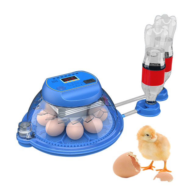 Home Usage Cheap 8 / 12 / 16 /26 /52 Pcs Capacity Mini Egg Incubators for Eggs Hatching Machine Sale