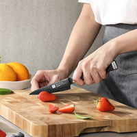 Luxe Damascus staal titanium geplateerde fruitmesjes met ebbenhouten handvat