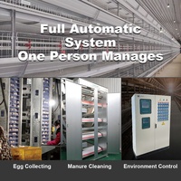 Système de cages à poules pondeuses entièrement automatique galvanisé de type H à 4 niveaux pour l'élevage commercial de volailles et la production d'œufs
