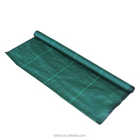 Taidun 3ft X30m PP Noir Barrière anti-mauvaises herbes agricole, maille 3mm, 300g/m², tissu tissé en rouleau pour contrôle des adventices et couverture du sol