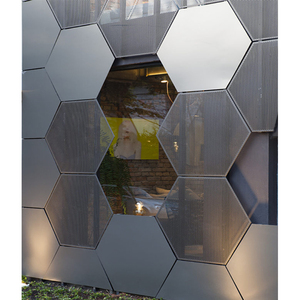 Nhà sản xuất tường rèm kim loại nhôm tùy chỉnh, tấm tường đục lỗ 3D, ốp tường - Product Image 2