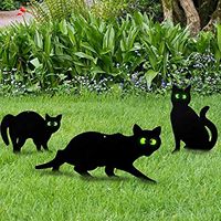 Piquet anti-oiseaux et répulsif pour chats, pour jardin extérieur, fournitures de lutte antiparasitaire, dissuasif et ornement