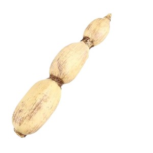 Modèles <span class=keywords><strong>de</strong></span> légumes artificiels en plastique pour décoration : Laitue, Aubergine, Chou chinois, Melon amer, Banane, Concombre, Céleri, Épinards - Product Image 4