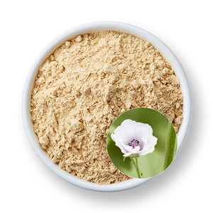 Ekstrak akar <span class=keywords><strong>Marshmallow</strong></span> kemurnian tinggi bubuk ekstrak akar <span class=keywords><strong>Marshmallow</strong></span> antioksidan Halal - Product Image 2