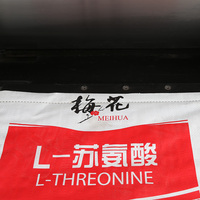 Machine à coudre industrielle professionnelle à ultrasons 18 kHz pour sacs tissés, modèle I